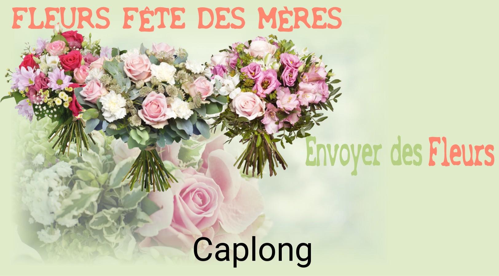 Bouquet de Fête des Mères livré à Caplong